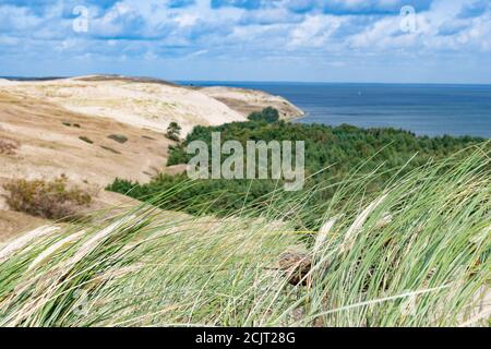 Nagliai Naturschutzgebiet in Neringa, Litauen. Abgestorbene Dünen, Sandhügel durch starke Winde gebaut, mit Schluchten und Erosion. Jede menschliche Aktivität ist verboten Stockfoto