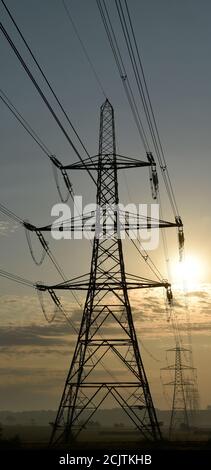 National Grid Strom Masten in einer Reihe zu Horizont Silhouette bei Sonnenaufgang. Stockfoto