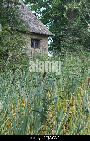 Bewachsener Garten und Reethaus in den cotswolds Stockfoto