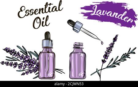 Lavendel ätherisches Öl Flasche und Blumenstrauß Hand gezeichnet Vektor-Illustration. Isolierte Zeichnung für Aromatherapie Behandlung, alternative Medizin, Stock Vektor