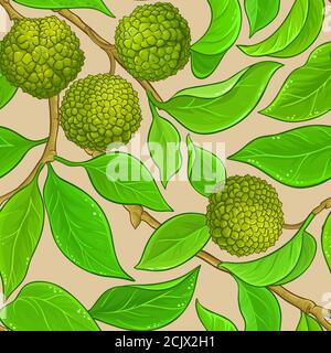 calodendrum-Vektormuster Stock Vektor