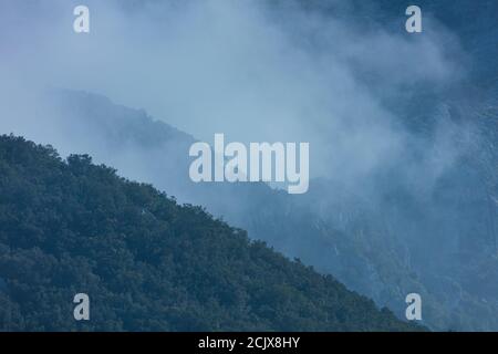 Nebel im kantabrischen Steineichenhain von Monte Candina, im Liendo-Tal in der autonomen Gemeinschaft Kantabrien, Spanien, Europa Stockfoto