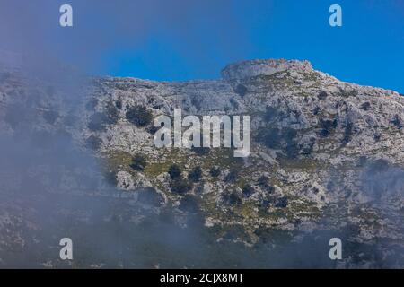 Nebel im kantabrischen Steineichenhain von Monte Candina, im Liendo-Tal in der autonomen Gemeinschaft Kantabrien, Spanien, Europa Stockfoto