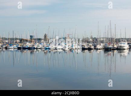 Jachten in Royal Quays Marina, im Wasser reflektiert, North Shields, England, Großbritannien Stockfoto