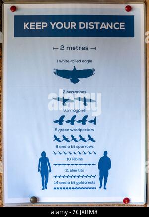 Soziale Distanzierungsnotiz in einem Vogelversteck, der zwei Meter mit der Flügelspannweite verschiedener Vögel vergleicht, Coronavirus covid-19 Pandemie 2020 Stockfoto