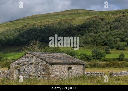 Ein Dales Barn in Upper Wharfedale in der Nähe des Dorfes Buckden im September in den Yorkshire Dales. Dahinter ist der Großteil der Buckde Pike. Stockfoto