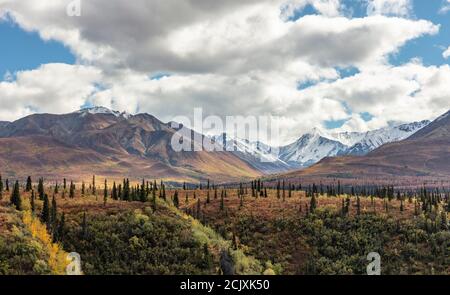 Herbstfarben schmücken die Taiga und Tundra entlang der Chugach Mountains in Südzentralalaska. Stockfoto