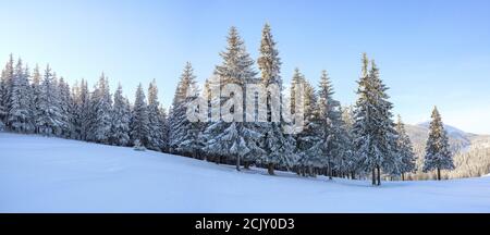 Winterlandschaft. Erstaunliches Panorama ist auf Berge, Wiese, den Wald mit Bäumen mit Schnee bedeckt und den blauen Himmel geöffnet. Lage, Place Carpathian Stockfoto