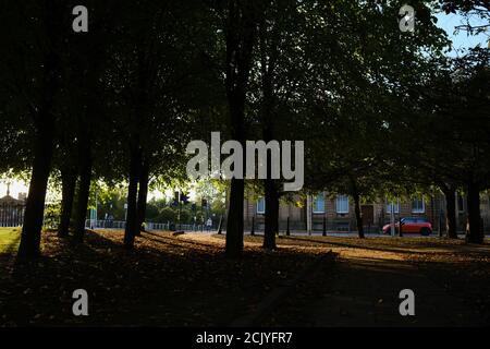 Herbstlicht in einem ruhigen Glasgow Green, September 2020 Stockfoto