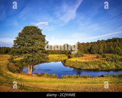 Sonniger Septembertag. Herbstlandschaft im Abendlicht von oben. Sommer Hintergrund mit Erle Baum am Flussufer. Landwirtschaft Felder nach der Ernte Stockfoto