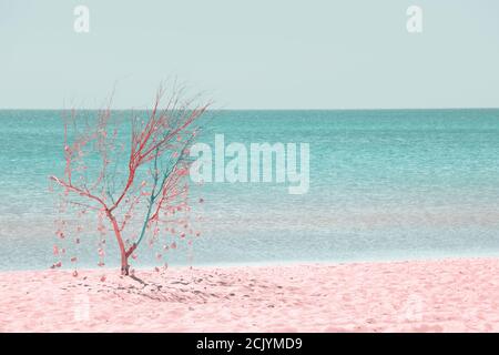 Natur Hintergrund im Vintage-Stil. Baum mit Girlanden von Muscheln und einem verschwommenen Meereshintergrund in Pastell und Retro-Ton dekoriert Stockfoto