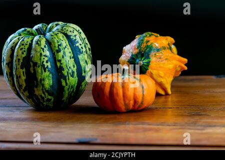 Verschiedene Kürbisse auf rustikalem Holztisch und schlichtem schwarzem Hintergrund. Herbst symbolisches Gemüse in grün, gelb und orange Farben. Stockfoto