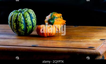 Verschiedene Kürbisse auf rustikalem Holztisch und schlichtem schwarzem Hintergrund. Herbst symbolisches Gemüse in grün, gelb und orange Farben. Stockfoto