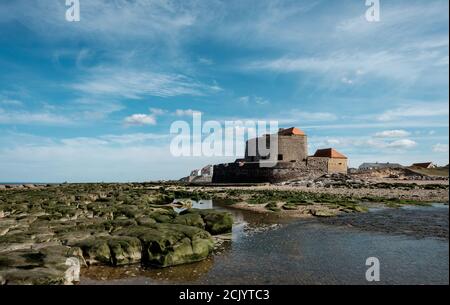 Fort d' Ambleteuse, (auch bekannt als Fort Mahon), ist eine Festung an der Küste in der Nähe der Stadt Ambleteuse im Norden Frankreichs Stockfoto