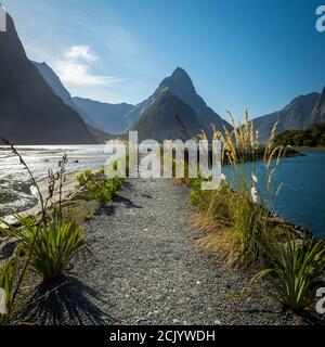 Mighty Mitre Peak im neuseeländischen Milford Sound. Stockfoto