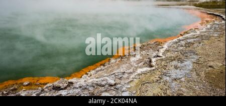 Dampf steigt aus dem aktiven geothermischen Gebiet von Wai-O-Tapu auf (Māori für „sacred Waters“) in der neuseeländischen Taupo-Vulkanzone Stockfoto