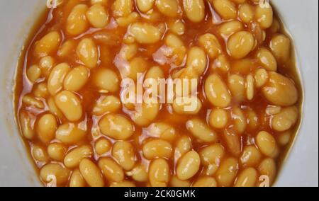 Draufsicht Nahaufnahme von isolierten weißen Gericht mit gebackenen Bohnen In roter Sauce Stockfoto