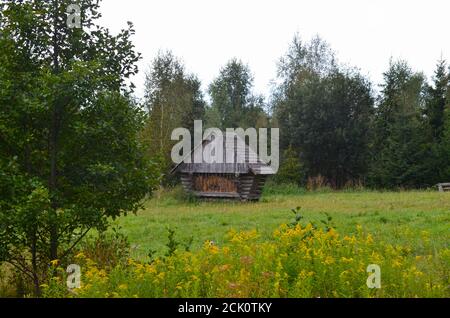 Holzfütter für Hirse auf einer grünen Wiese in der Nähe des Waldes Im Herbst Stockfoto