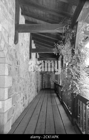 Vertikale Graustufenaufnahme des Balkons einer Villa Stockfoto