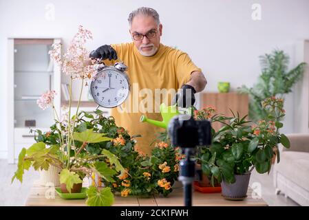 Alter männlicher Gärtner mit Pflanzen zu Hause Stockfoto