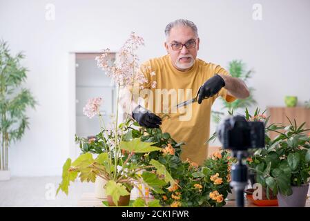 Alter männlicher Gärtner mit Pflanzen zu Hause Stockfoto