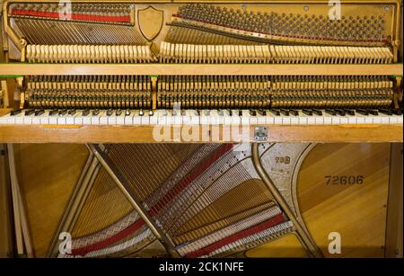 Das Innenleben eines aufrechten Klaviers, das die Streicher und Hämmer im Inneren zeigt. Stockfoto