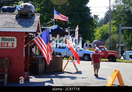 US-Flaggen und Tierskulpturen dekoriert Big Moose Deli & Country Store.Hoosick.New York.USA Stockfoto