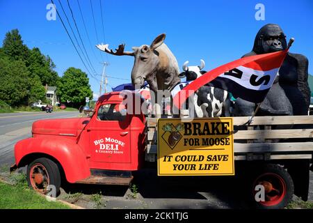 Tierskulpturen auf einem alten LKW schmückten den Parkplatz Von Big Moose Deli & Country Store.Hoosick.New York.USA Stockfoto