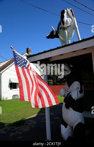 Willkommensschild mit US-Flaggen und Tierskulpturen dekoriert Big Moose Deli & Country Store.Hoosick.New York.USA Stockfoto