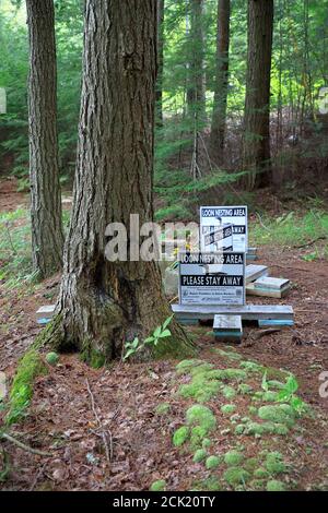 Geschütztes Seetaucher-Nistgebiet mit Warnschildern im Wald Von Lowell Lake State Park.Londonderry.Vermont.USA Stockfoto