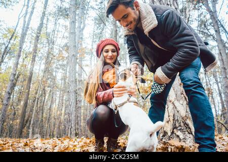 Frau und Mann ihren Hund werfen ein Stick Stockfoto