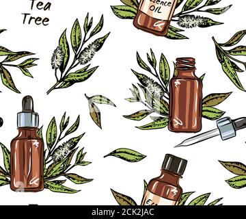 Handgezeichnete Kräuter Teebaum Nahtloses Muster mit Flaschen mit ätherischen Ölen: Ätherisches Öl Kosmetik, Parfüm und therapeutische ätherische Öle, Objekte o Stock Vektor