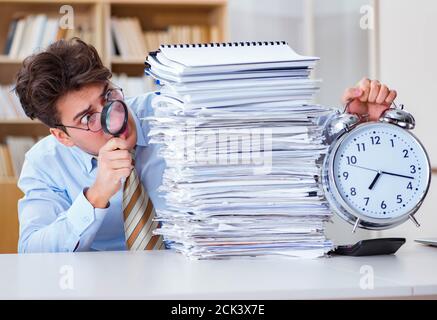 Verrückt auf der Suche nach Fehlern im Bericht auditor Stockfoto