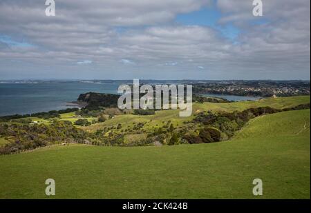 Shakeaspear Regional Park und Wildlife Sancutary auf Whangaparaoa Halbinsel Norden Von Auckland Neuseeland Neville Marriner Leica M10 Stockfoto