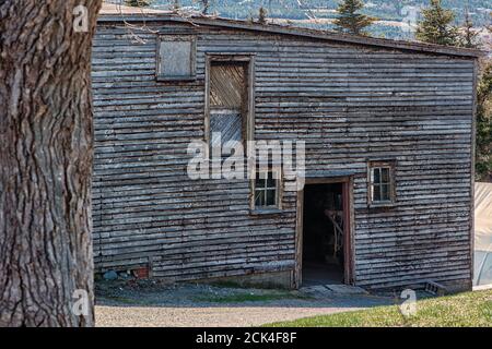 Die Vintage Scheune aus abgenutztem und strukturiertem grauem Holz. Das Gebäude hat mehrere Glasfenster und eine kleine Tür. Stockfoto