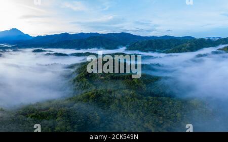 Luftbild der schönen frischen grünen Natur Landschaft Szene von Tropischer Regenwald und Wolken bei Sonnenaufgang am Morgen Stockfoto