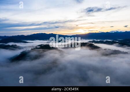 Luftbild der schönen frischen grünen Natur Landschaft Szene von Tropischer Regenwald und Wolken bei Sonnenaufgang am Morgen Stockfoto