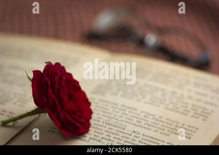 Eine rote Rose auf dem Text der Seiten eines alten Buches, im Hintergrund Lesebrille auf dem Tisch zu sehen Stockfoto