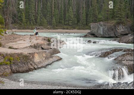 Yoho National Park, British Columbia, Kanada – 13. September 2020: Ein Mann und eine Frau gehen auf den Felsen neben dem Kicking Horse River bei The Natural Stockfoto