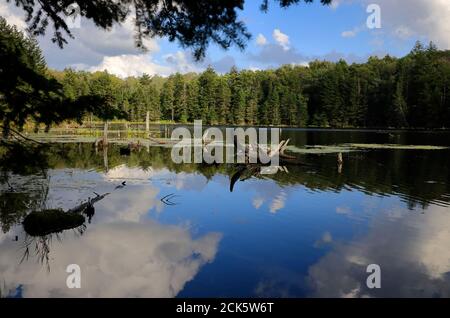 Adams Reservoir in Woodford State Park.Woodford.Vermont.USA Stockfoto