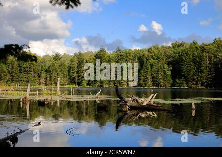 Adams Reservoir in Woodford State Park.Woodford.Vermont.USA Stockfoto