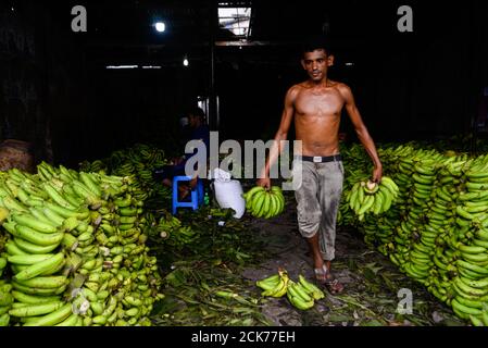 Dhaka, Bangladesch. September 2020. Man sieht, wie ein Arbeiter auf einem Bananengroßmarkt arbeitet. Kredit: SOPA Images Limited/Alamy Live Nachrichten Stockfoto