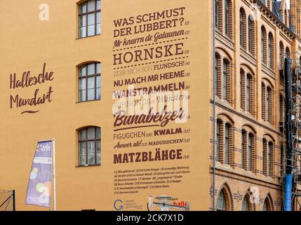 Halle, Deutschland. September 2020. Ausschnitte und Begriffe aus dem Hallensischen Dialekt schmücken eine Gießwand am Lyonel-Feininger-Gymnasium. Obwohl nahe an der Grenze zu Sachsen, unterscheiden sich die Dialekte von Halle und Leipzig erheblich. Quelle: Jan Woitas/dpa-Zentralbild/ZB/dpa/Alamy Live News Stockfoto