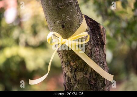 Achternmeer, Deutschland. September 2020. Das 'Gelbe Band' auf einem Apfelbaum. Das Band auf dem Baum soll die Aufmerksamkeit auf die Tatsache lenken, dass die Frucht von jedem gepflückt und gegessen werden kann. Kredit: Mohssen Assanimoghaddam/dpa/Alamy Live Nachrichten Stockfoto