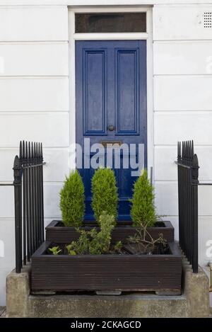 Pflanzgefäße und Pflanzen aus Holz vor der Haustür in London Stockfoto