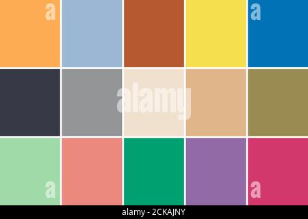 Set von 15 modischen Farben der Fashion Week. The Spring Summer 2021 New York Colour Palette. Stockfoto