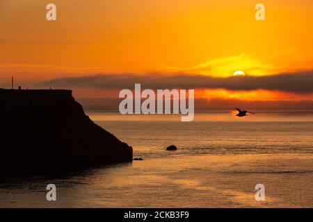 Tenby, Pembrokeshire, Wales, Großbritannien. September 2020. Die Sonne geht über St. Catherine's Island nahe der Küstenstadt Tenby, Pembrokeshire, Wales, auf. Das Wetter verspricht einen weiteren warmen und trockenen Tag. Kredit: Peter Lopeman/Alamy Live Nachrichten Stockfoto