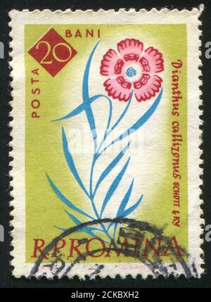 RUMÄNIEN - UM 1961: Briefmarke gedruckt von Rumänien, Schaublume, um 1961. Stockfoto