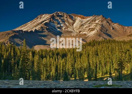 Mount Shasta Avalanche Gulch Area bei Sonnenuntergang, vom Bunny Flat Trailhead auf dem Everitt Memorial Highway, Kalifornien, USA Stockfoto