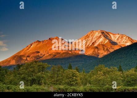 Mount Shasta bei Sonnenuntergang, vom Everitt Memorial Highway aus gesehen, nahe Mt Shasta City, Kalifornien, USA Stockfoto